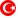 Türkçe